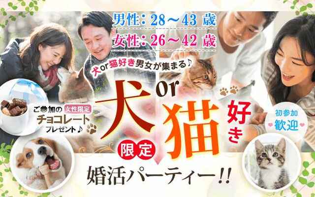 婚活300_犬猫2843-2642チョコ.jpg