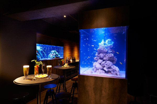『Link Cafe Aoyama』