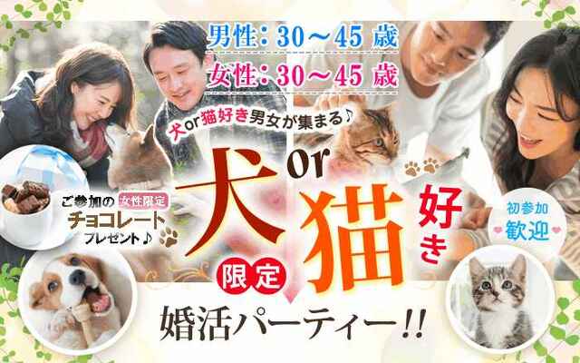 婚活300_犬猫3045-3045.jpg