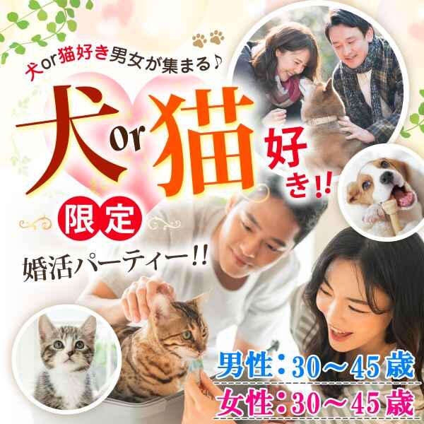 婚活600_犬猫3045-3045.jpg